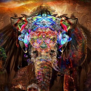 tumblr_mgjmgzROtP1ql7kioo1_500