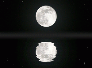 tumblr_mgqqslCnXc1rg0ee0o1_500