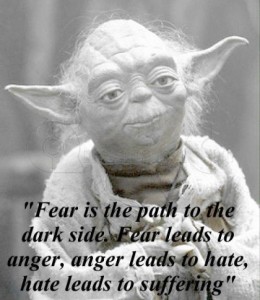 fear-is-the-path-to-the-dark-side-fear-leads-to-anger-anger-quote