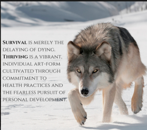 Screen Shot 2014-11-05 at 2.12.29 PM